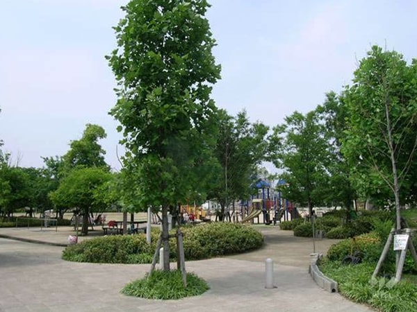 高木公園