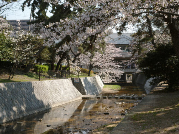 夙川